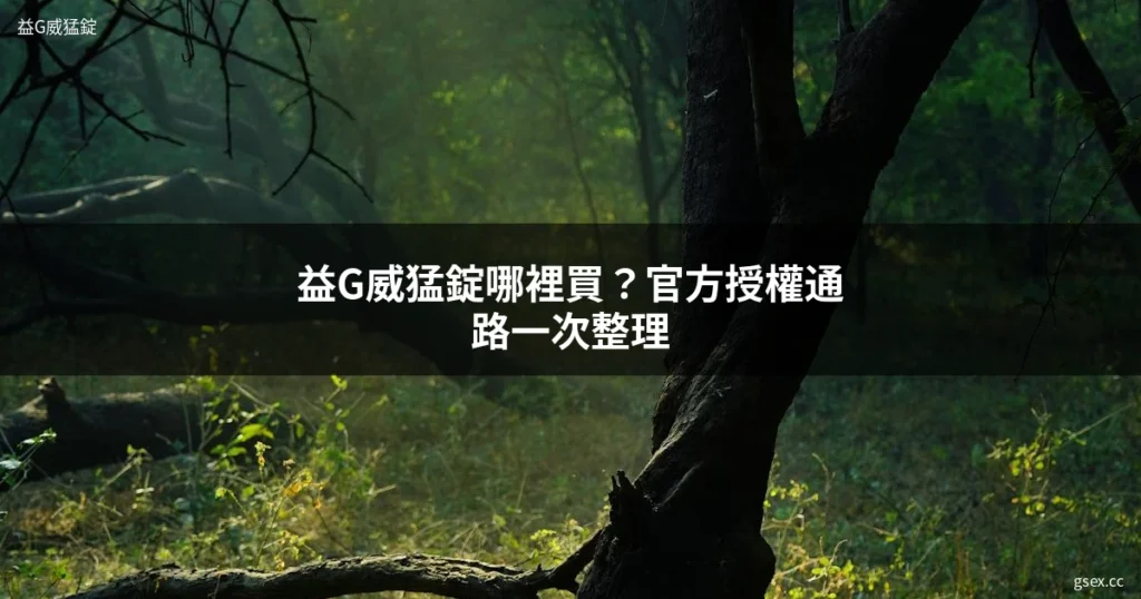 益G威猛錠哪裡買 正品購買管道